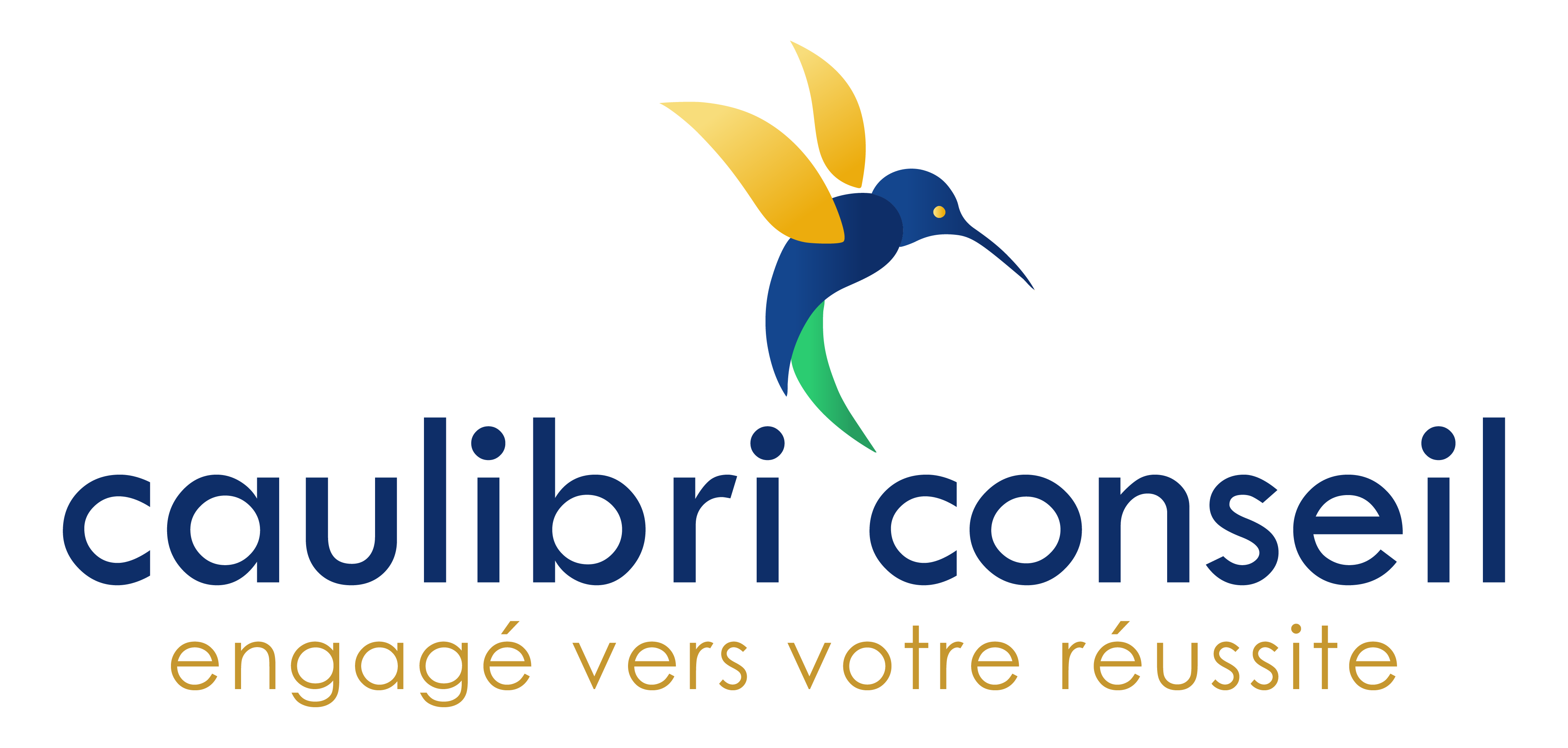 logo cabinet expert comptable CAULIBRI CONSEIL pau et anglet