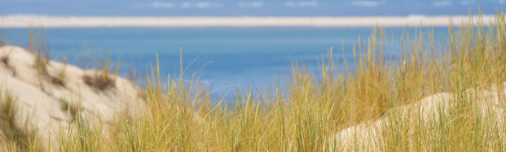 cabinet expert comptable audit rse anglet- Pau 33 40 64
